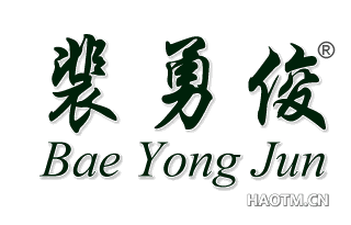 裴勇俊;BAE YONG JUN