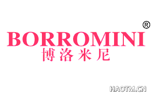 博洛米尼;BORROMINI