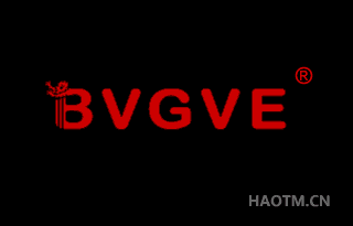 BVGVE