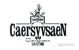 沙尔恩;CAERSYVSAEN