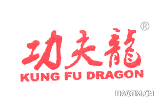 功夫龙 KUNGFUDRAGON