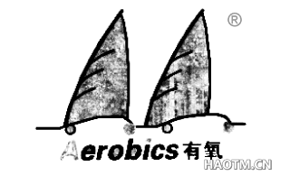 有氧 AEROBICS