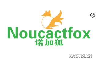 诺加狐 NOUCACTFOX