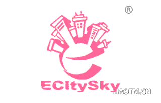 ECITYSKY