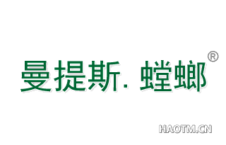 曼提斯螳螂