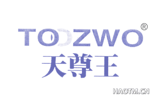 天尊王 TOOZWO