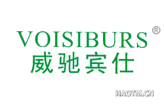 威驰宾仕 VOISIBURS