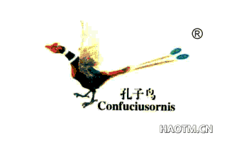 孔子鸟 CONFUCIUSORNIS