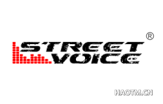 STREET VOICE