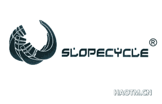 SLOPECYCLE