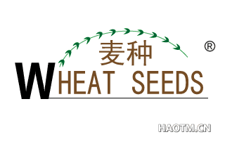 麦种 WHEAT SEEDS