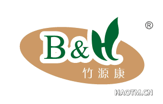 竹源康 B&H