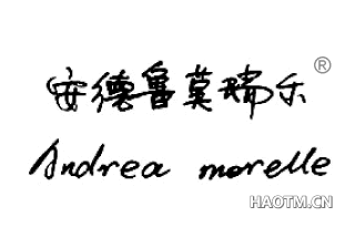 安德鲁莫瑞尔 ANDREA MORELLE