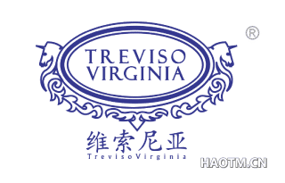 维索尼亚 TREVISO VIRGINIA TREVISO VIRGINIA