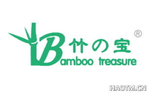 竹宝 BAMBOO TREASURE