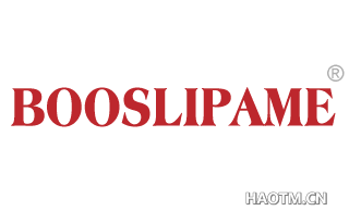 BOOSLIPAME