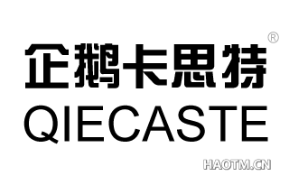 企鹅卡思特 QIECASTE