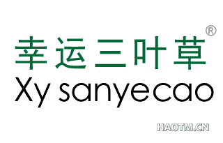 幸运三叶草 XY SANYECAO