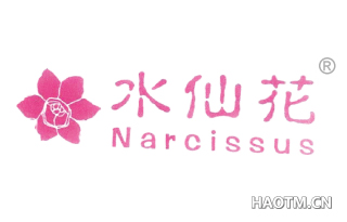水仙花 NARCISSUS