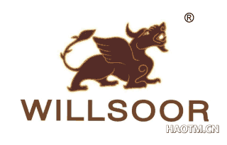 WILLSOOR图形