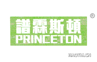 谱霖斯顿 PRINCETON