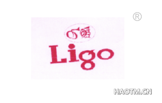 LIGO