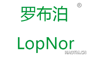 罗布泊 LOPNOR