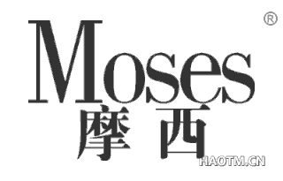 摩西 MOSES