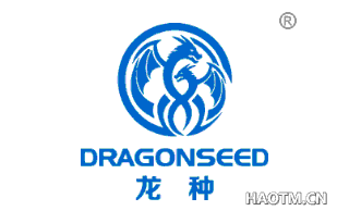 龙种 DRAGONSEED