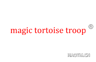 MAGIC TORTOISE TROOP