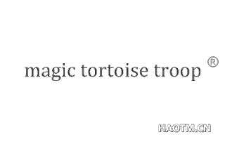 MAGIC TORTOISE TROOP