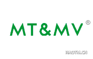  MT&MV