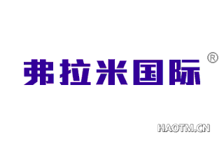 弗拉米国际 