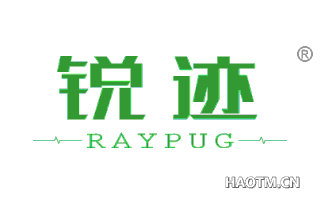 锐迹 RAYPUG