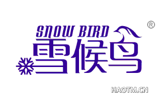 雪候鸟 SNOW BIRD
