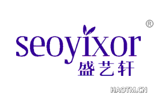 盛艺轩 SEOYIXOR