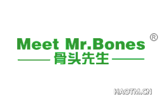 骨头先生 MEET MR BONES