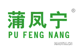 蒲凤宁 PU FENG NANG