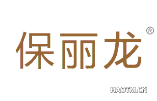 保丽龙 