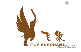 飞象 FLYELEPHANT