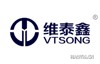 维泰鑫 VTSONG