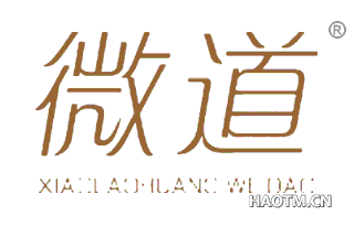 微道 XIAOLAOHUANGWEIDAO