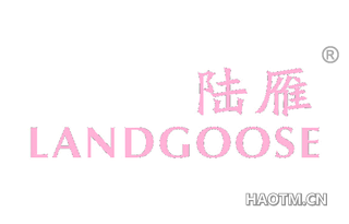 陆雁 LANDGOOSE