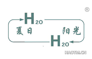 夏日阳光 HO