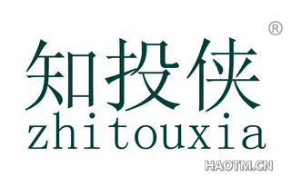 知投侠 