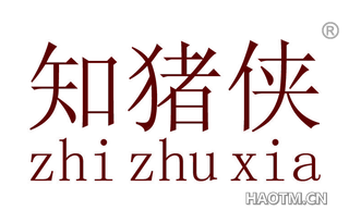 知猪侠 