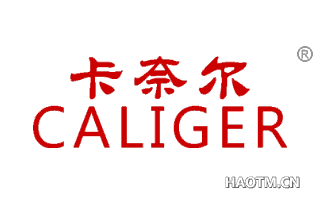 卡奈尔 CALIGER