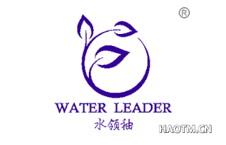 水领袖 WATER LEADER