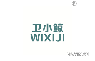 卫小鲸 WIXIJI