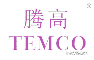 腾高 TEMCO